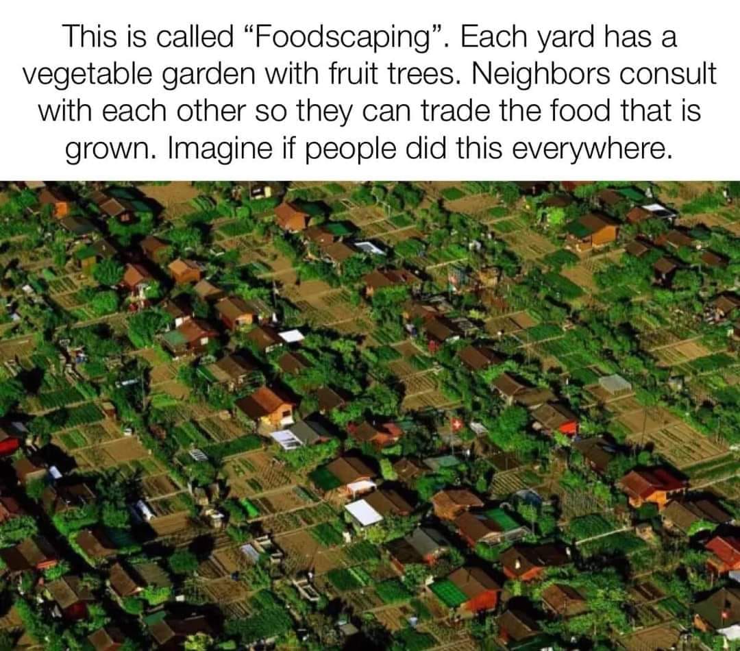 The meme is a humorous commentary on the concept of "foodscaping" or "foodscaping" (a mix-up of "food" and "landscaping"), where each yard has a vegetable garden with fruit trees. The image is an aerial view of a densely populated neighborhood, with each yard filled with lush greenery and trees, creating a beautiful and vibrant landscape. The text at the top of the image reads: "This is called 'Foodscaping'. Each yard has a vegetable garden with fruit trees. Neighbors consult with each other so they can trade the food that is grown. Imagine if people did this everywhere."